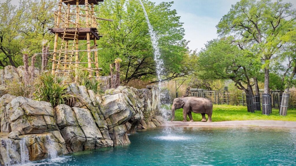 best zoos in usa