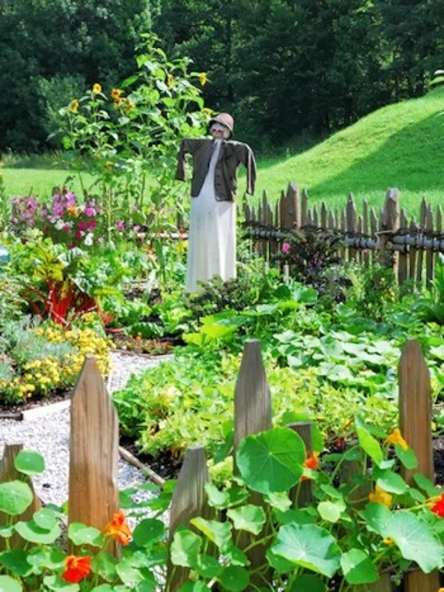 Grow a Greener Thumb: 10 Hacks for Effortless Gardening